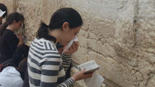 娱乐吃瓜君17集