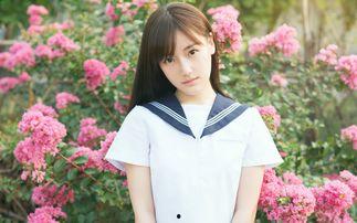 娱乐吃瓜酱女拳师,吃瓜酱女拳师生态解析