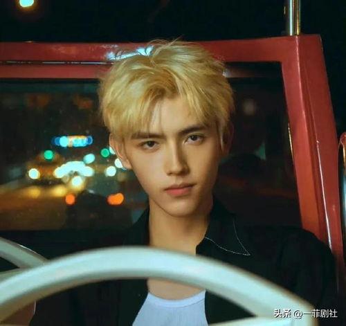 在娱乐圈一线吃瓜的小说,揭秘明星背后的秘密风云