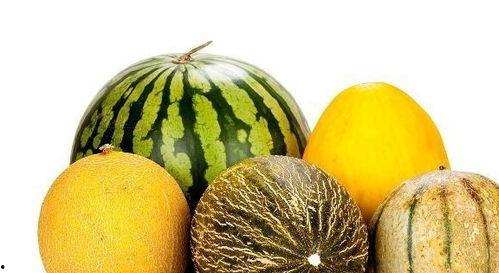 多多娱乐吃瓜,揭秘娱乐圈吃瓜背后的真相与笑料