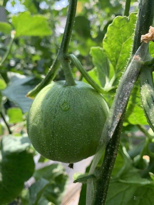 娱乐圈吃瓜的地方