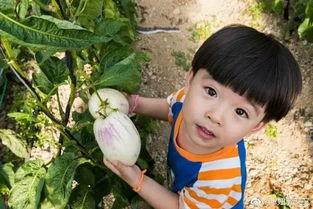 小布布娱乐吃瓜,揭秘娱乐圈幕后故事