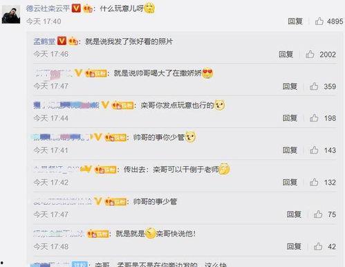 娱乐吃瓜君评论区临沂