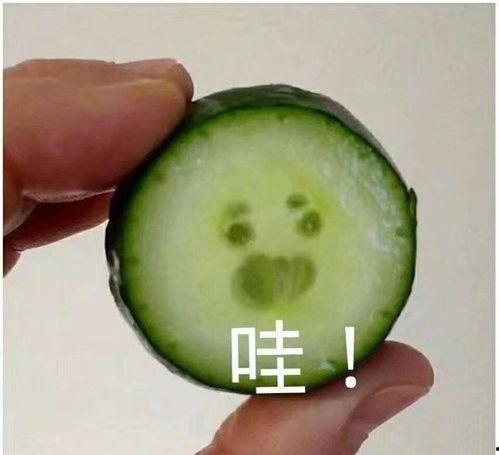 吃瓜表情包怎么回复女生微信,轻松回复女生微信，展现幽默魅力